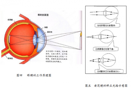 美麗島眼鏡：老花鏡不可隨意亂帶，需要在專業(yè)驗光后科學配制